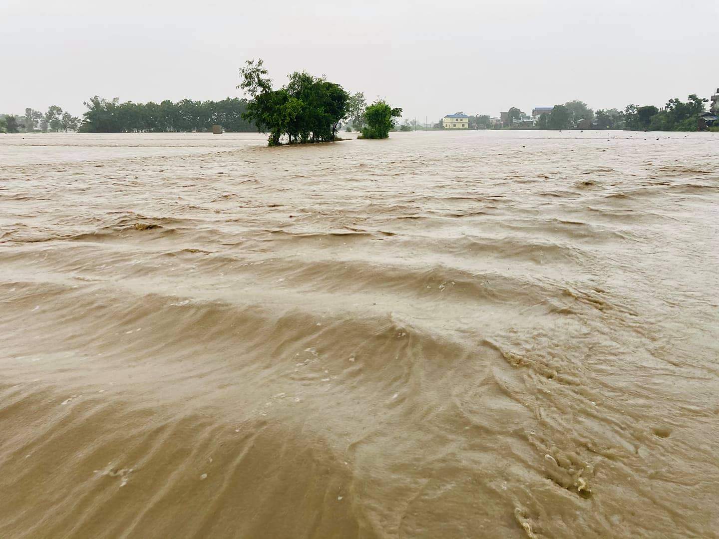६४ वर्ष पछि फेला पर्यो अनौठो चरा, आधा मानिस, आधा पंक्षी !
