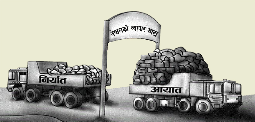 ६४ वर्ष पछि फेला पर्यो अनौठो चरा, आधा मानिस, आधा पंक्षी !