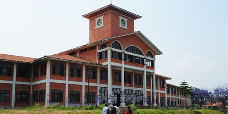 ६४ वर्ष पछि फेला पर्यो अनौठो चरा, आधा मानिस, आधा पंक्षी !