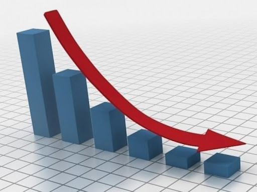 ६४ वर्ष पछि फेला पर्यो अनौठो चरा, आधा मानिस, आधा पंक्षी !