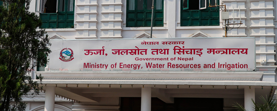 ६४ वर्ष पछि फेला पर्यो अनौठो चरा, आधा मानिस, आधा पंक्षी !