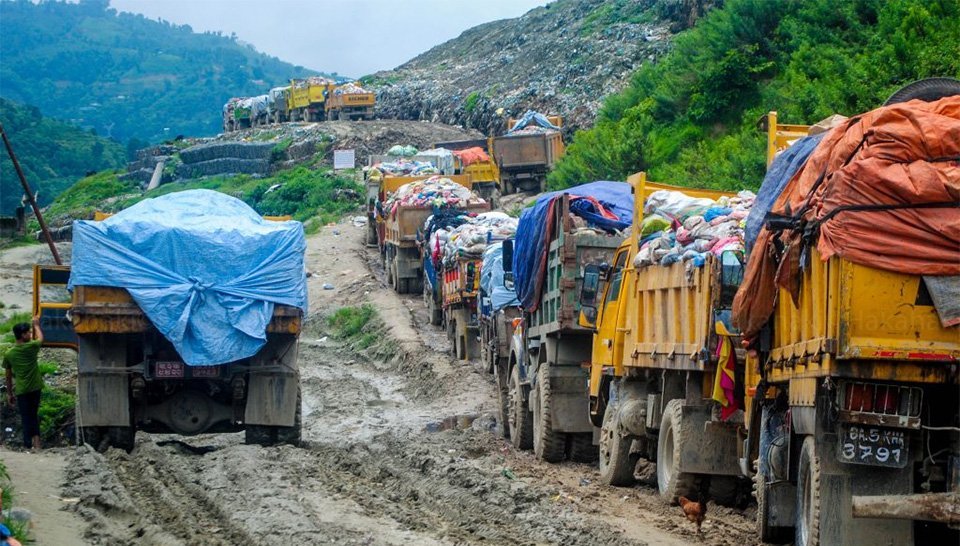 ६४ वर्ष पछि फेला पर्यो अनौठो चरा, आधा मानिस, आधा पंक्षी !