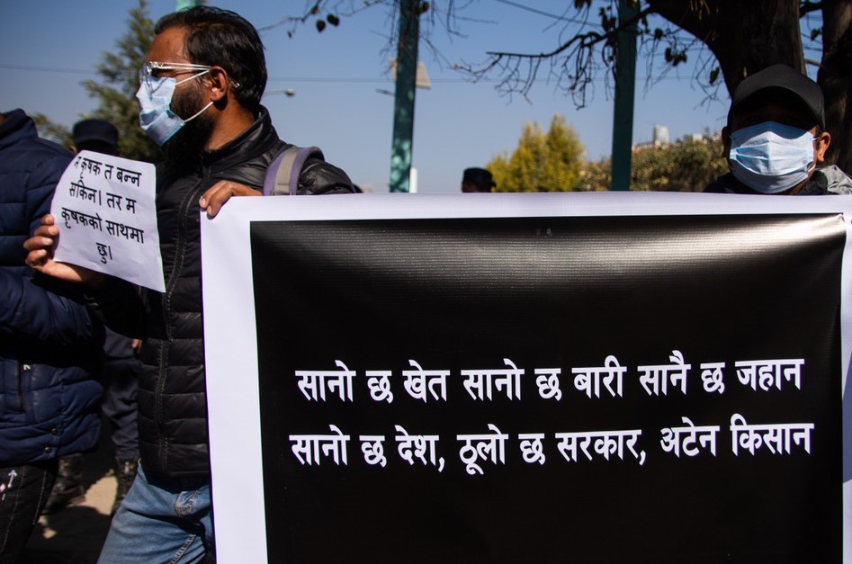 ६४ वर्ष पछि फेला पर्यो अनौठो चरा, आधा मानिस, आधा पंक्षी !