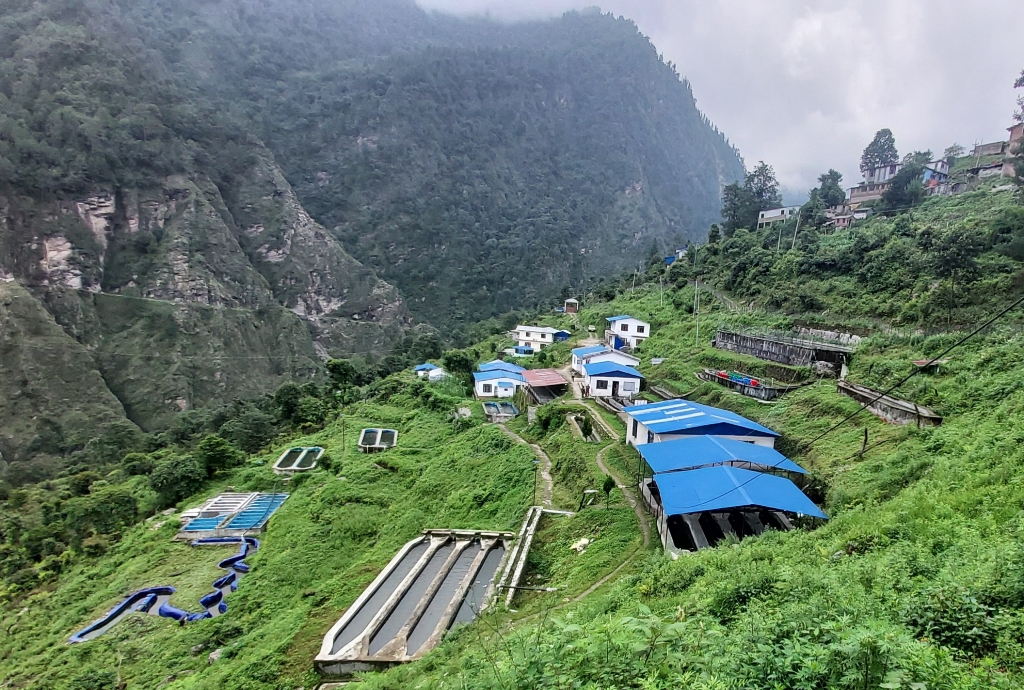 ६४ वर्ष पछि फेला पर्यो अनौठो चरा, आधा मानिस, आधा पंक्षी !