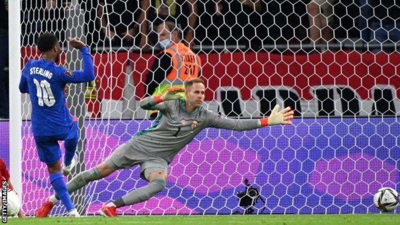 ६४ वर्ष पछि फेला पर्यो अनौठो चरा, आधा मानिस, आधा पंक्षी !