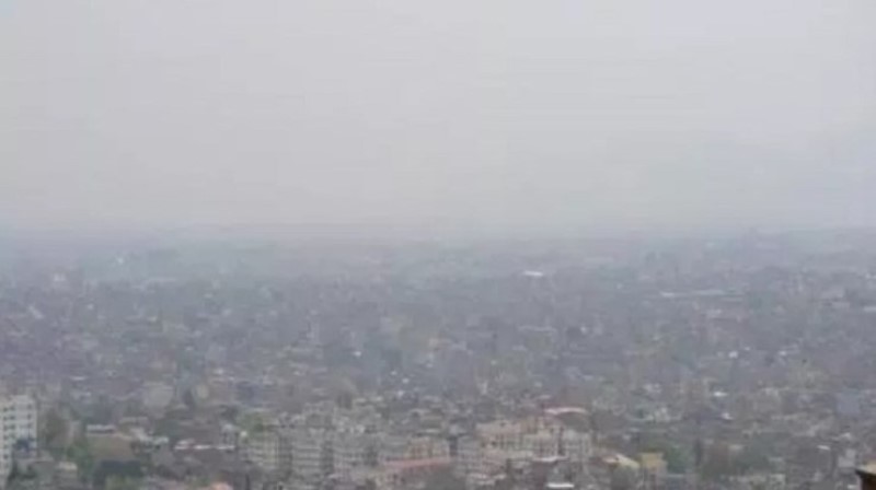 ६४ वर्ष पछि फेला पर्यो अनौठो चरा, आधा मानिस, आधा पंक्षी !