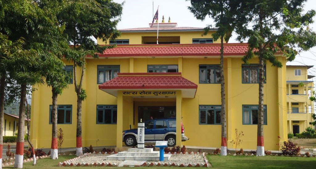 ६४ वर्ष पछि फेला पर्यो अनौठो चरा, आधा मानिस, आधा पंक्षी !