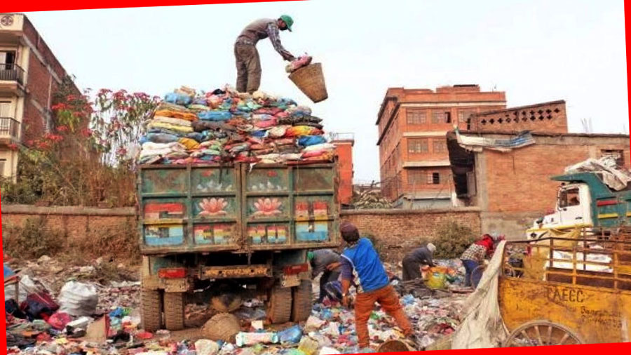 ६४ वर्ष पछि फेला पर्यो अनौठो चरा, आधा मानिस, आधा पंक्षी !
