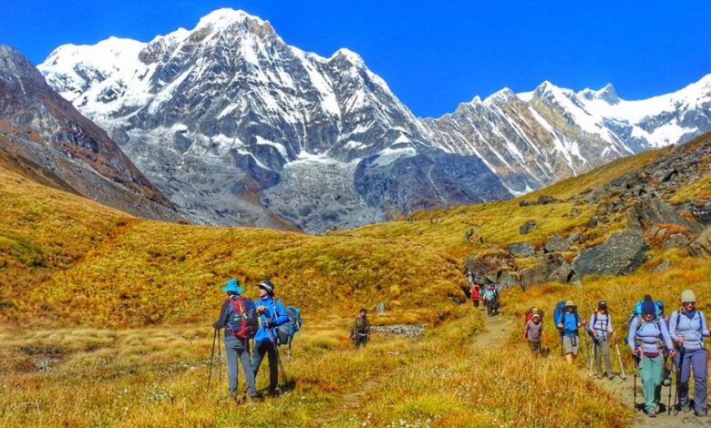 ६४ वर्ष पछि फेला पर्यो अनौठो चरा, आधा मानिस, आधा पंक्षी !