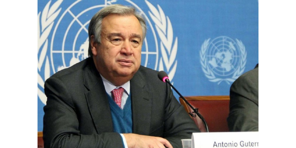 ६४ वर्ष पछि फेला पर्यो अनौठो चरा, आधा मानिस, आधा पंक्षी !