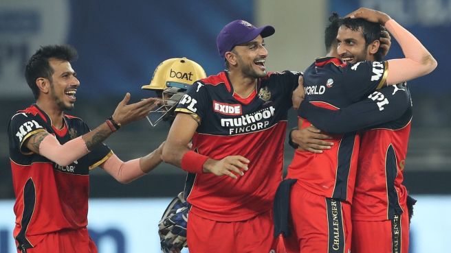 ६४ वर्ष पछि फेला पर्यो अनौठो चरा, आधा मानिस, आधा पंक्षी !