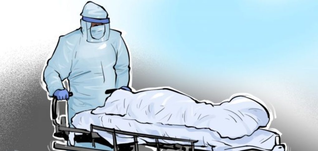 ६४ वर्ष पछि फेला पर्यो अनौठो चरा, आधा मानिस, आधा पंक्षी !