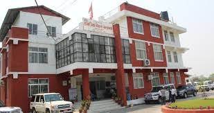 ६४ वर्ष पछि फेला पर्यो अनौठो चरा, आधा मानिस, आधा पंक्षी !