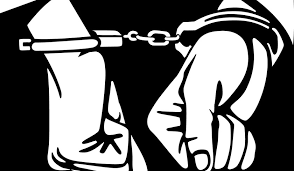 ६४ वर्ष पछि फेला पर्यो अनौठो चरा, आधा मानिस, आधा पंक्षी !