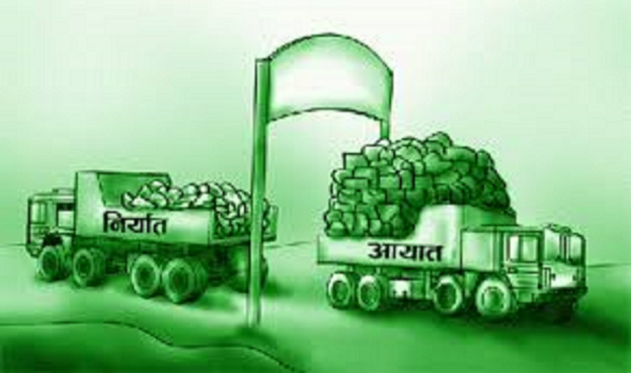 ६४ वर्ष पछि फेला पर्यो अनौठो चरा, आधा मानिस, आधा पंक्षी !