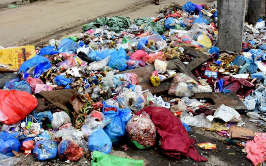 ६४ वर्ष पछि फेला पर्यो अनौठो चरा, आधा मानिस, आधा पंक्षी !