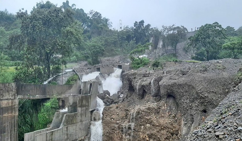 ६४ वर्ष पछि फेला पर्यो अनौठो चरा, आधा मानिस, आधा पंक्षी !