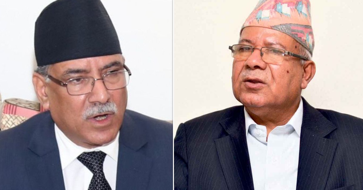 ६४ वर्ष पछि फेला पर्यो अनौठो चरा, आधा मानिस, आधा पंक्षी !