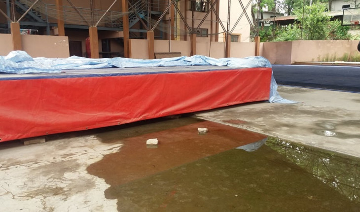 ६४ वर्ष पछि फेला पर्यो अनौठो चरा, आधा मानिस, आधा पंक्षी !