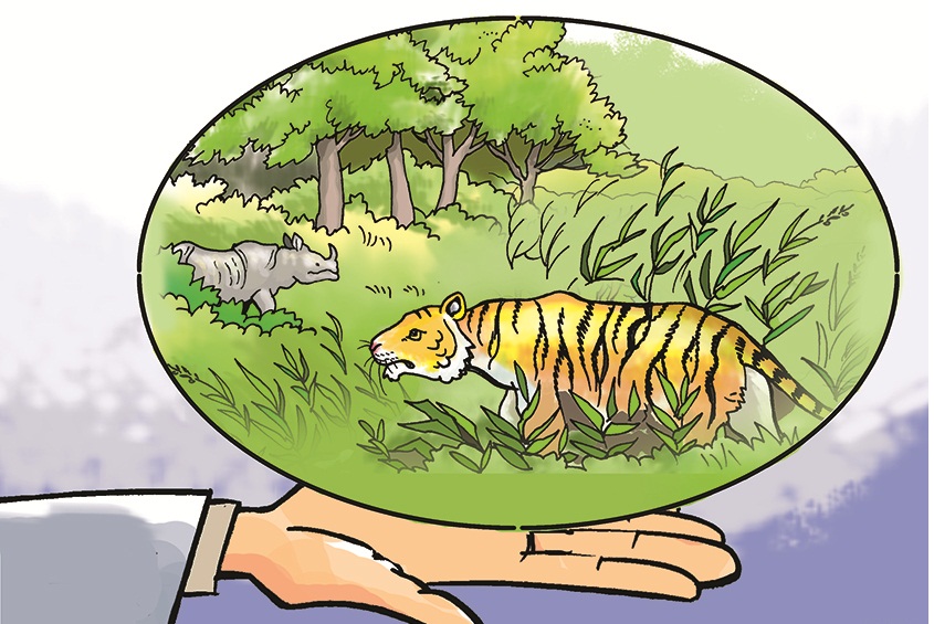 ६४ वर्ष पछि फेला पर्यो अनौठो चरा, आधा मानिस, आधा पंक्षी !