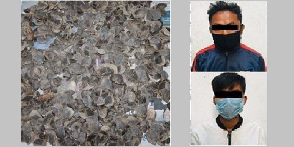 ६४ वर्ष पछि फेला पर्यो अनौठो चरा, आधा मानिस, आधा पंक्षी !