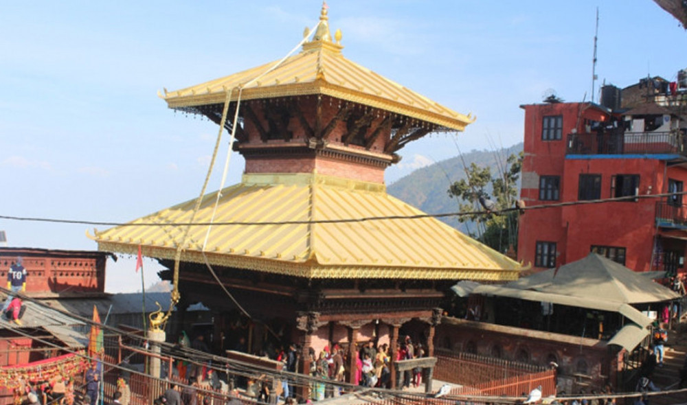 ६४ वर्ष पछि फेला पर्यो अनौठो चरा, आधा मानिस, आधा पंक्षी !