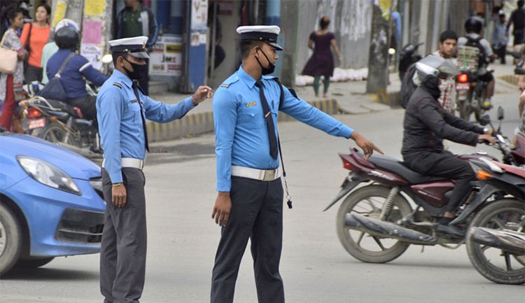 ६४ वर्ष पछि फेला पर्यो अनौठो चरा, आधा मानिस, आधा पंक्षी !