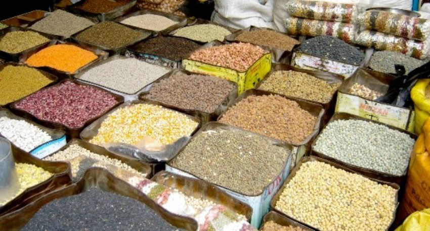 ६४ वर्ष पछि फेला पर्यो अनौठो चरा, आधा मानिस, आधा पंक्षी !