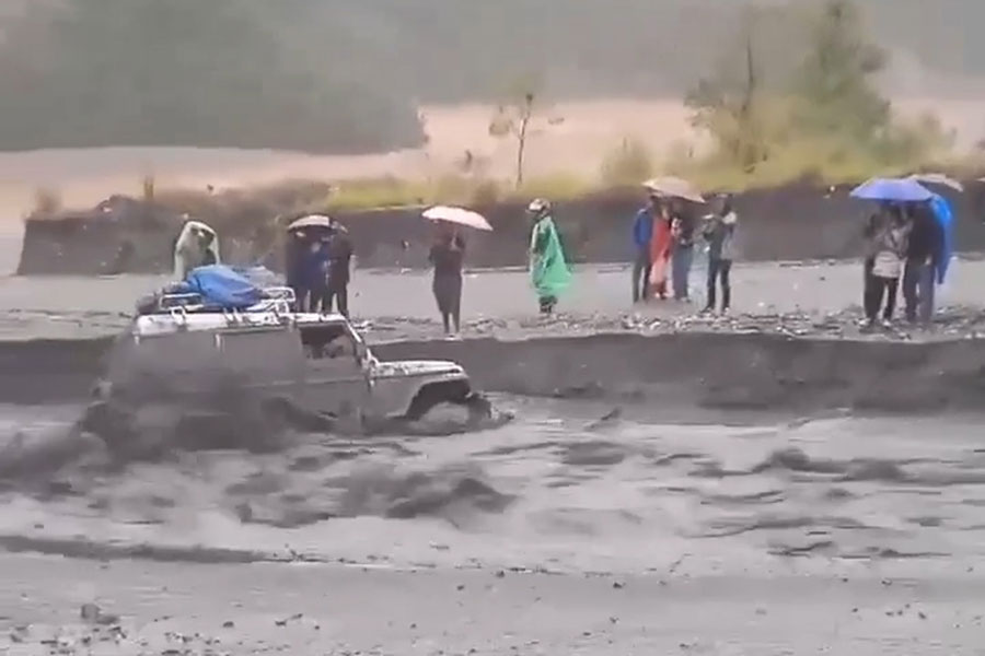 ६४ वर्ष पछि फेला पर्यो अनौठो चरा, आधा मानिस, आधा पंक्षी !