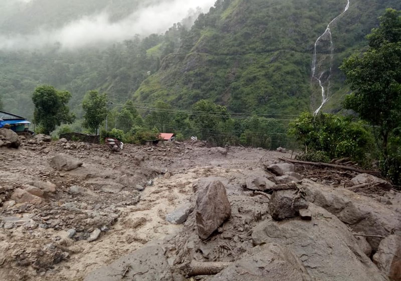 ६४ वर्ष पछि फेला पर्यो अनौठो चरा, आधा मानिस, आधा पंक्षी !