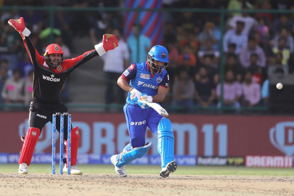 ६४ वर्ष पछि फेला पर्यो अनौठो चरा, आधा मानिस, आधा पंक्षी !