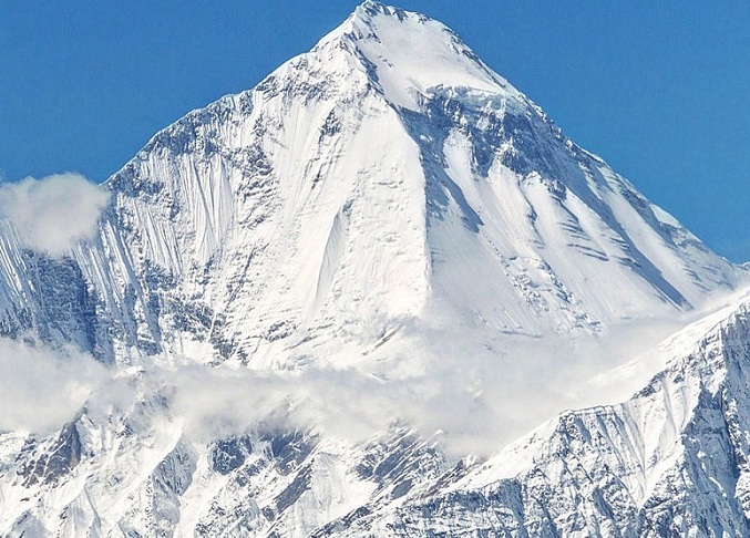 ६४ वर्ष पछि फेला पर्यो अनौठो चरा, आधा मानिस, आधा पंक्षी !