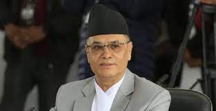 ६४ वर्ष पछि फेला पर्यो अनौठो चरा, आधा मानिस, आधा पंक्षी !