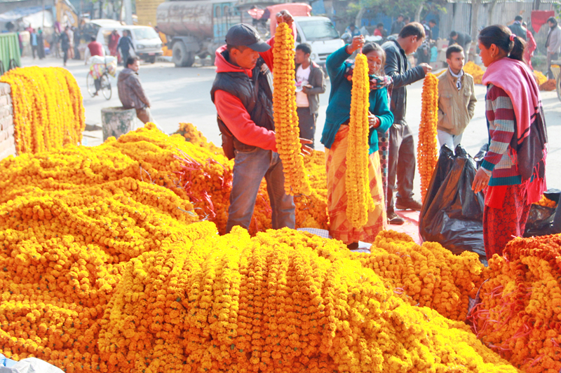 ६४ वर्ष पछि फेला पर्यो अनौठो चरा, आधा मानिस, आधा पंक्षी !