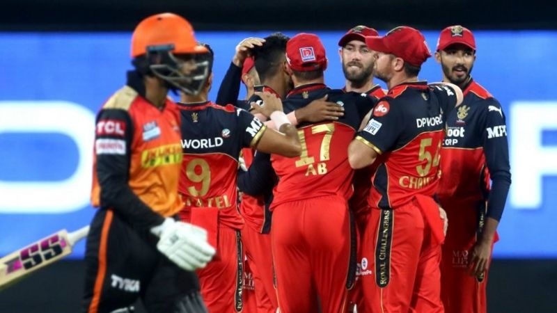 ६४ वर्ष पछि फेला पर्यो अनौठो चरा, आधा मानिस, आधा पंक्षी !