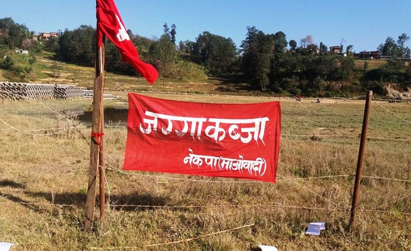 ६४ वर्ष पछि फेला पर्यो अनौठो चरा, आधा मानिस, आधा पंक्षी !