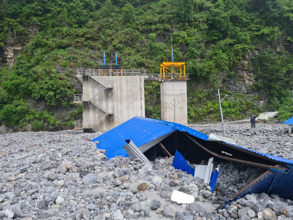 ६४ वर्ष पछि फेला पर्यो अनौठो चरा, आधा मानिस, आधा पंक्षी !
