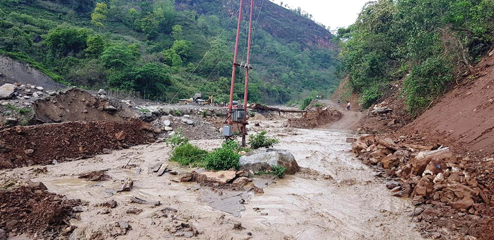 ६४ वर्ष पछि फेला पर्यो अनौठो चरा, आधा मानिस, आधा पंक्षी !