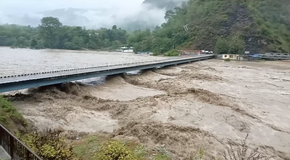 ६४ वर्ष पछि फेला पर्यो अनौठो चरा, आधा मानिस, आधा पंक्षी !