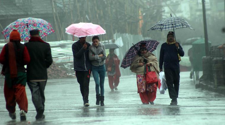 ६४ वर्ष पछि फेला पर्यो अनौठो चरा, आधा मानिस, आधा पंक्षी !