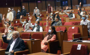 राष्ट्रिय सभाले ४ वटा विधेयक अघि बढायो