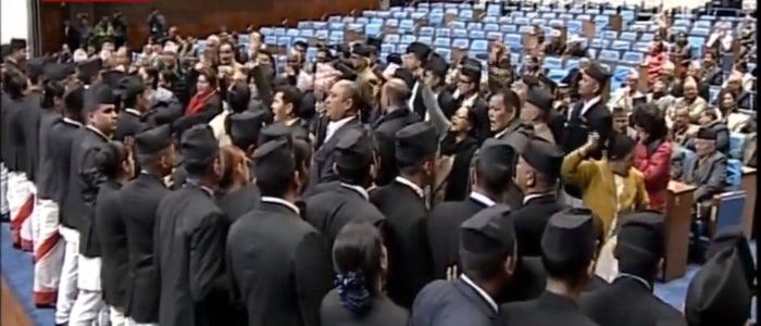 ६४ वर्ष पछि फेला पर्यो अनौठो चरा, आधा मानिस, आधा पंक्षी !