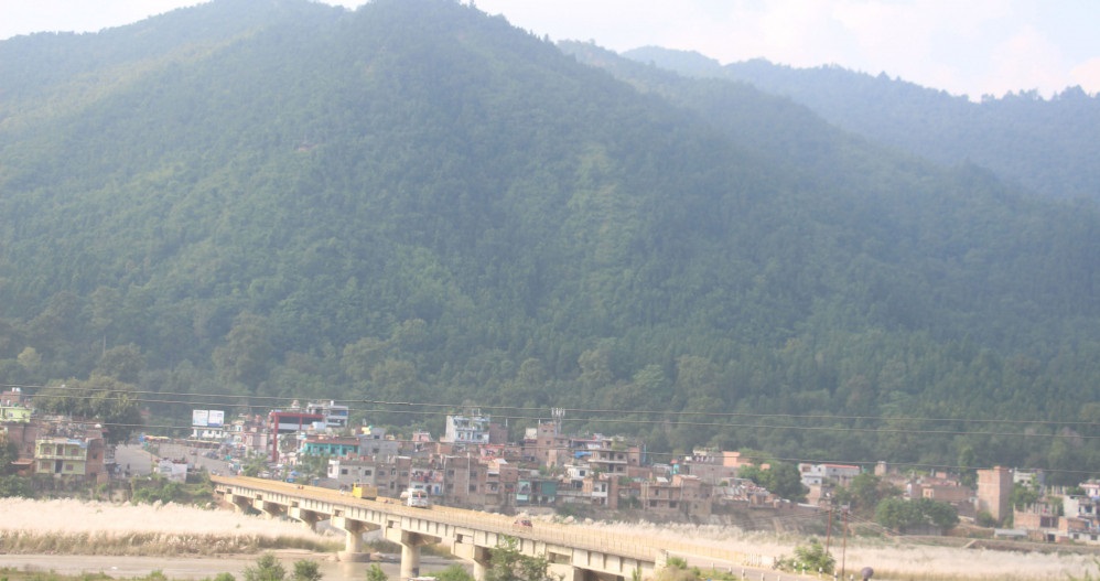 ६४ वर्ष पछि फेला पर्यो अनौठो चरा, आधा मानिस, आधा पंक्षी !