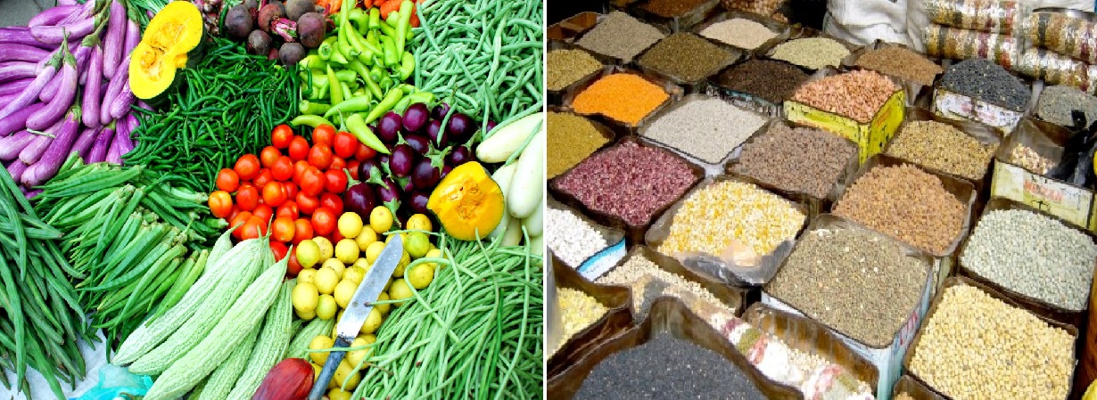 ६४ वर्ष पछि फेला पर्यो अनौठो चरा, आधा मानिस, आधा पंक्षी !