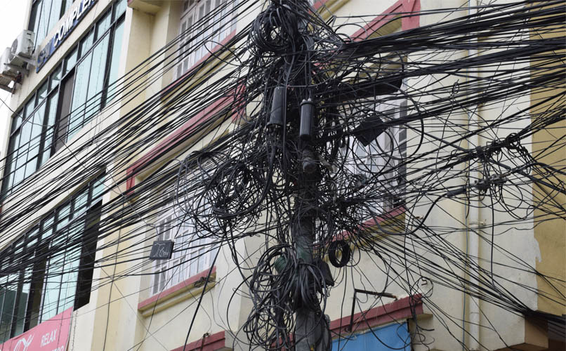 ६४ वर्ष पछि फेला पर्यो अनौठो चरा, आधा मानिस, आधा पंक्षी !