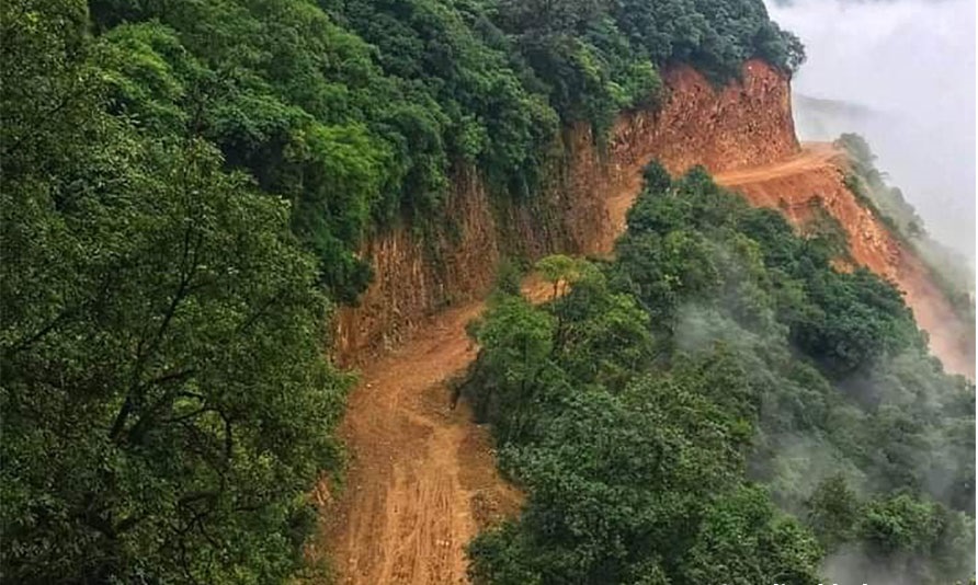 ६४ वर्ष पछि फेला पर्यो अनौठो चरा, आधा मानिस, आधा पंक्षी !