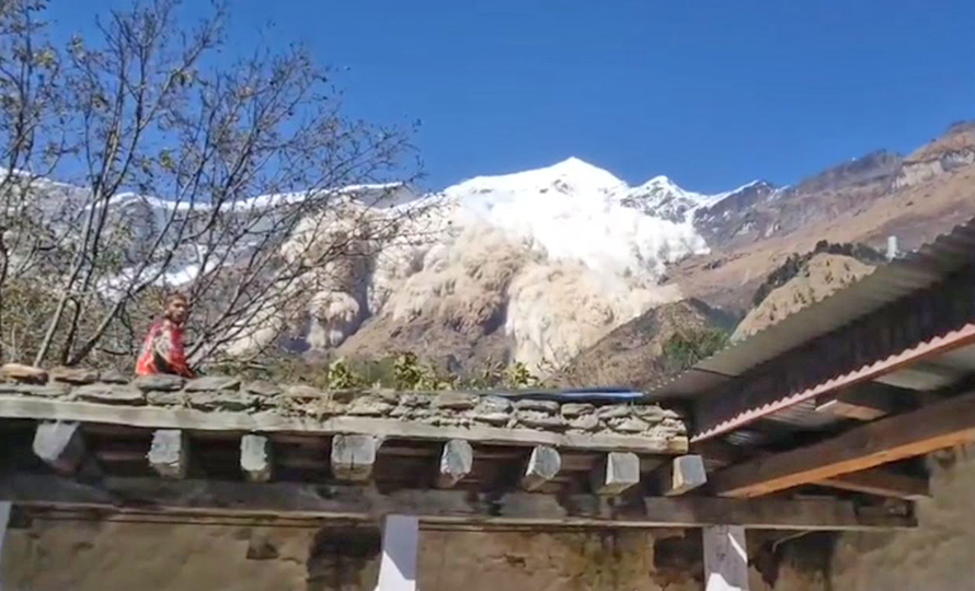 ६४ वर्ष पछि फेला पर्यो अनौठो चरा, आधा मानिस, आधा पंक्षी !