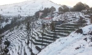 देशभर वर्षा, हिमाली जिल्लामा हिमपात