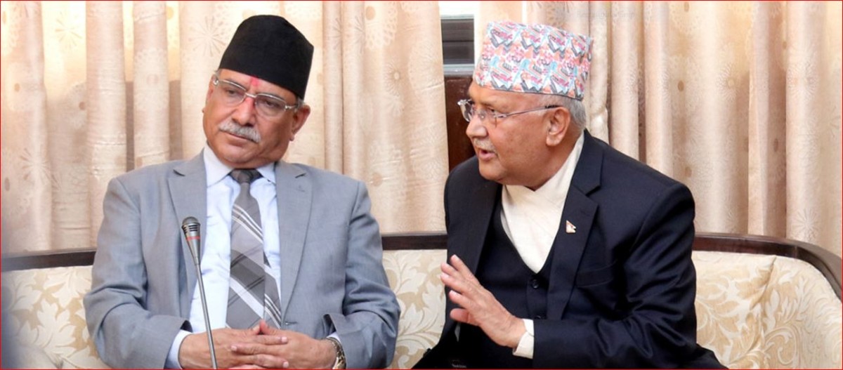 ६४ वर्ष पछि फेला पर्यो अनौठो चरा, आधा मानिस, आधा पंक्षी !
