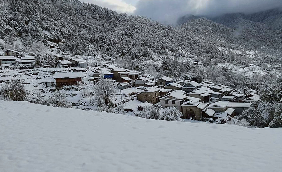 ६४ वर्ष पछि फेला पर्यो अनौठो चरा, आधा मानिस, आधा पंक्षी !